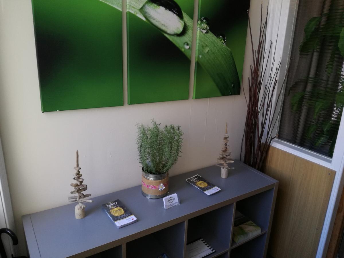 Driftwood B&B Weymouth Esterno foto